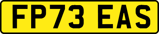 FP73EAS