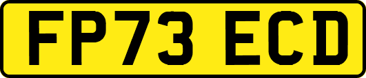 FP73ECD