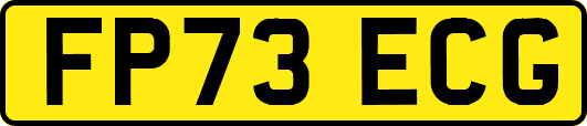 FP73ECG