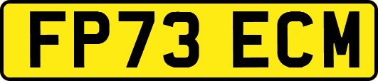 FP73ECM