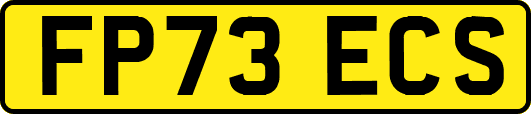 FP73ECS