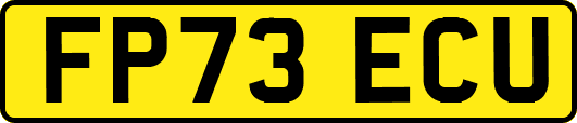 FP73ECU