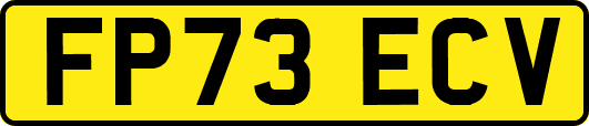 FP73ECV