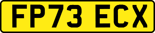 FP73ECX
