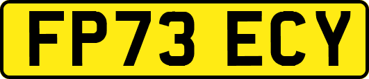 FP73ECY