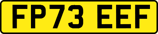 FP73EEF