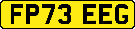 FP73EEG