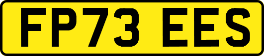 FP73EES