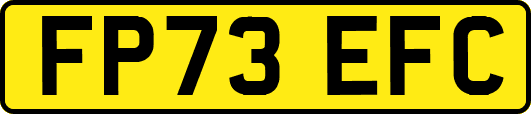 FP73EFC