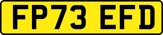 FP73EFD
