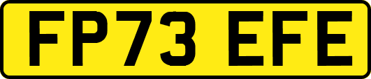 FP73EFE