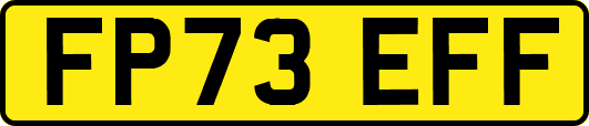 FP73EFF