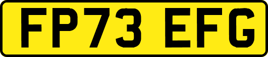 FP73EFG