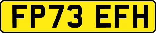 FP73EFH