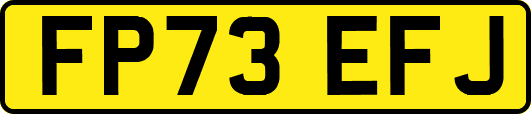 FP73EFJ
