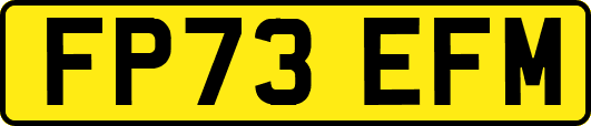 FP73EFM