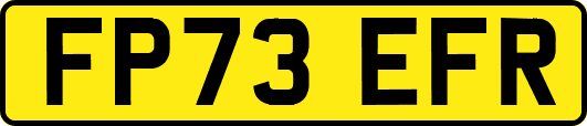 FP73EFR