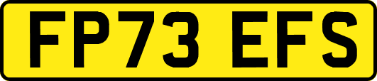FP73EFS