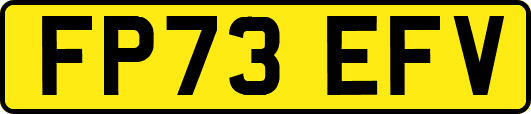 FP73EFV