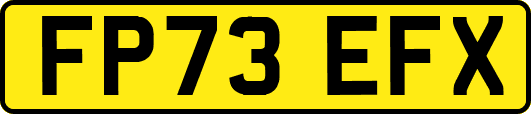 FP73EFX
