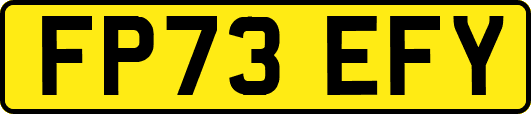 FP73EFY