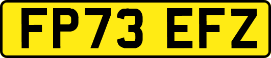 FP73EFZ