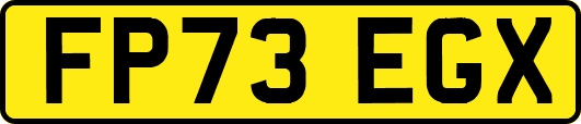 FP73EGX