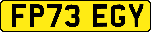 FP73EGY