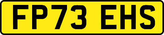 FP73EHS