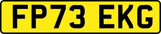 FP73EKG