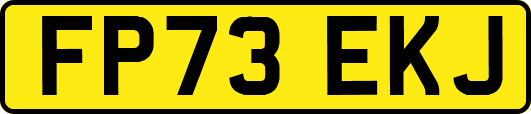 FP73EKJ