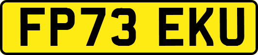 FP73EKU