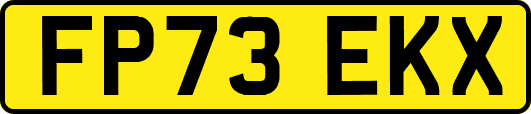 FP73EKX