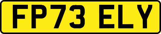 FP73ELY