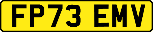 FP73EMV