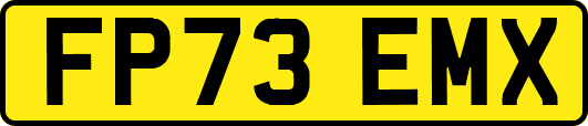 FP73EMX