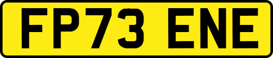 FP73ENE
