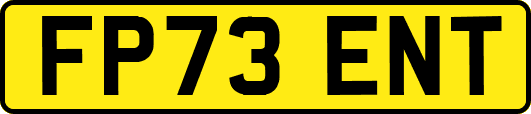FP73ENT