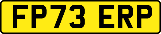 FP73ERP