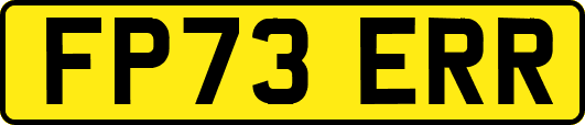 FP73ERR
