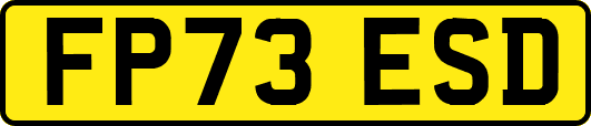 FP73ESD