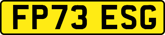FP73ESG