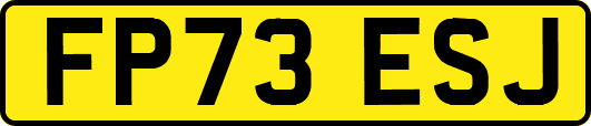 FP73ESJ