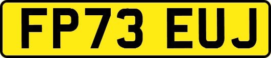 FP73EUJ