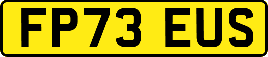 FP73EUS
