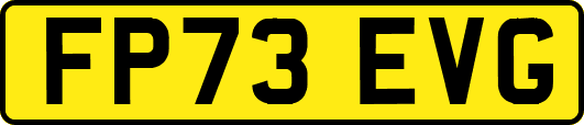 FP73EVG