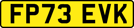 FP73EVK