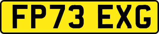 FP73EXG