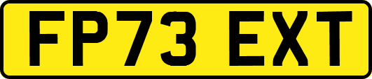 FP73EXT