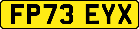 FP73EYX
